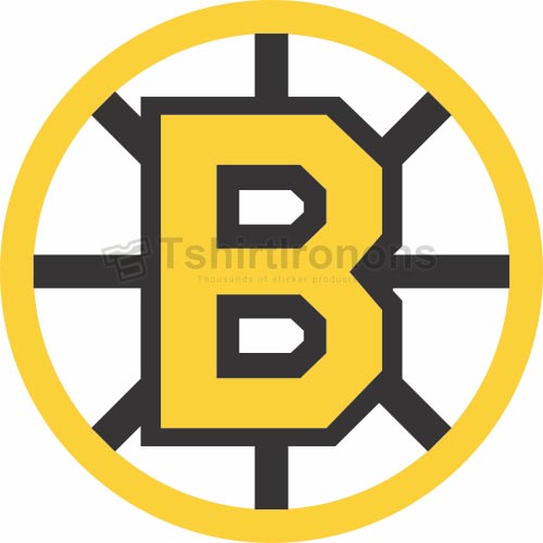 Boston Bruins T-shirts Iron On Transfers N77